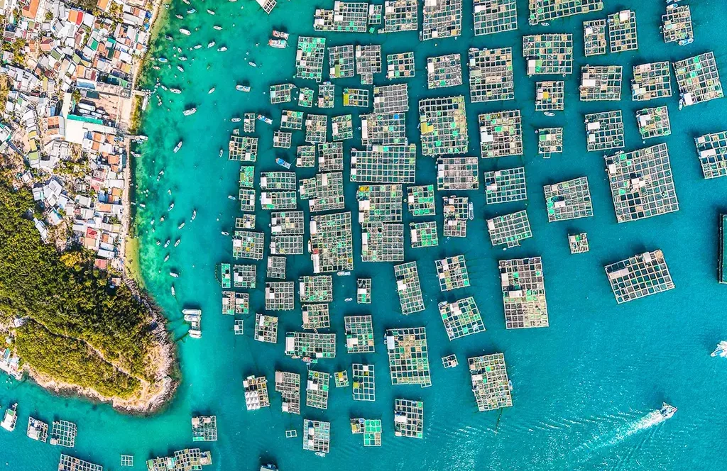 ktour-nha-trang-lang-chai