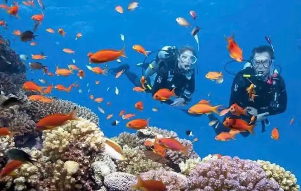 ktour-nha-trang-lan-bien