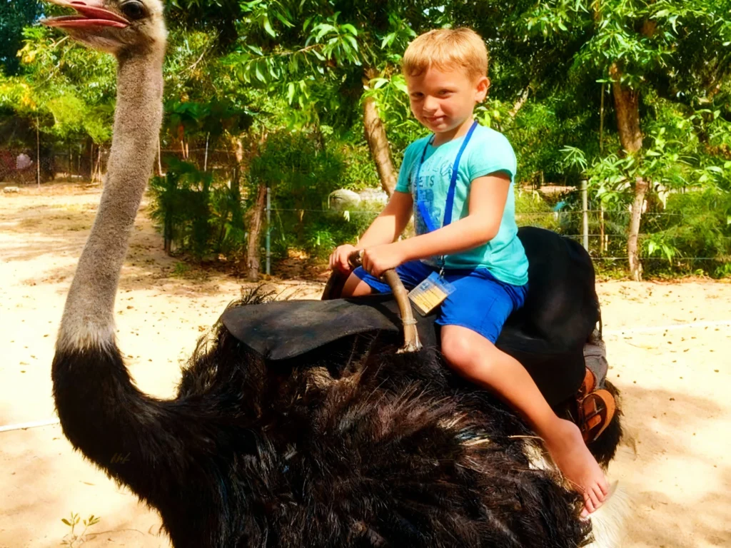 ktour-nha-trang-dao-khi-suoi-hoa-lan (9)