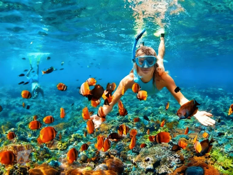 Tour 2 Đảo Hòn Mun – Làng Chài