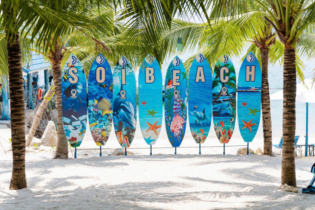 ktour-nha-trang-bai-soi