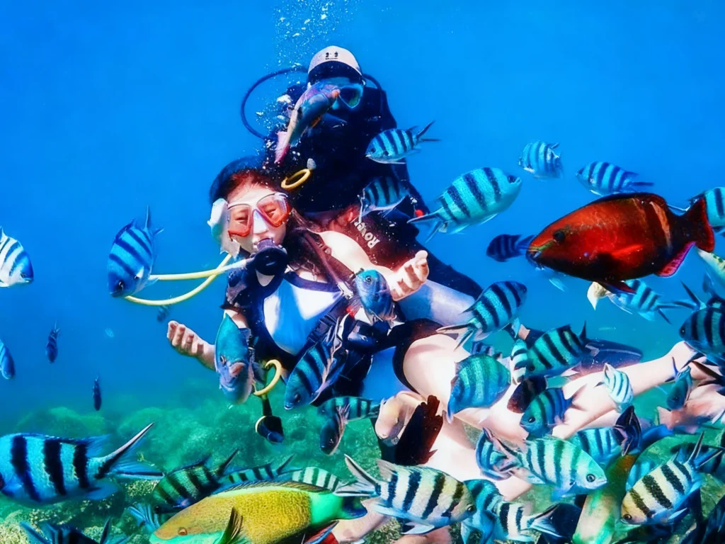 ktournhatrang-di-bo-duoi-day-bien-sea-walking-6